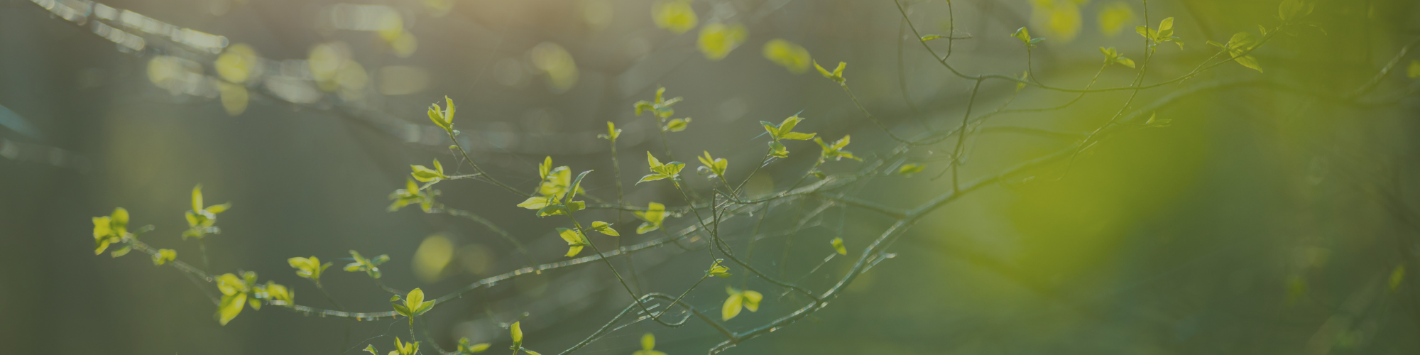 Melden Sie sich für den Kundenclub an