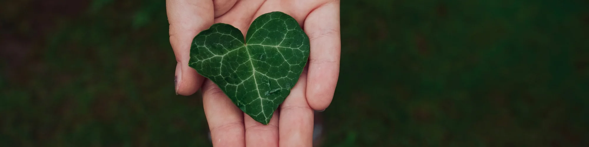 Der Traum von einer natürlicheren Zukunft