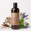 Birken-Shampoo f�r trockenes & strapaziertes Haar - mit Bl�tenduft - 500 ml